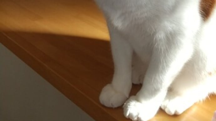 明日があるさ