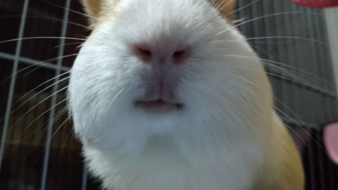 げつようび