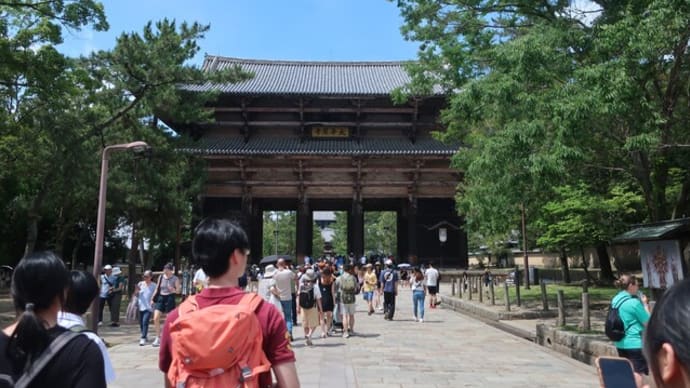 春日大社・萬葉植物園(萬葉植物園~春日野園地~南大門~二月堂~猿沢池)