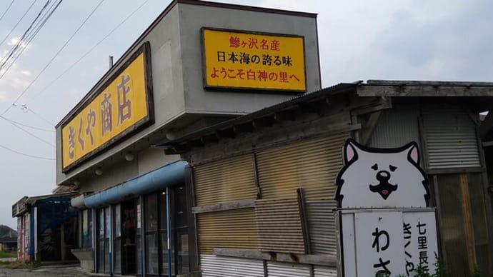 わさおに会える場所〜海の駅わんど
