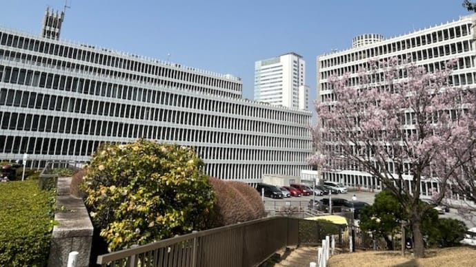 目黒ぶらぶら建築散歩 目黒区総合庁舎250327