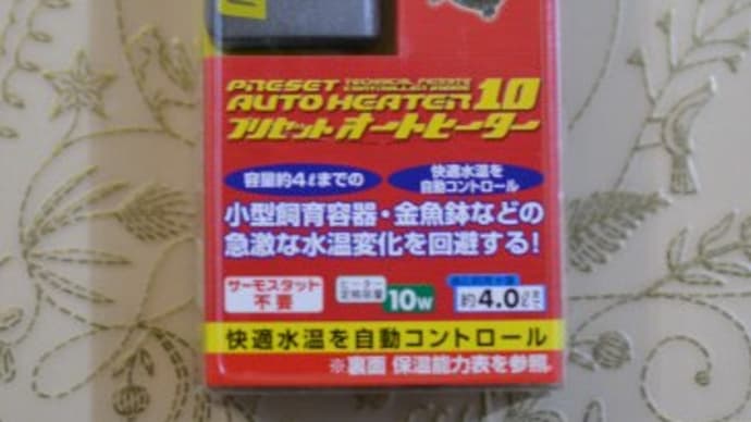 ブラン、投薬中です。