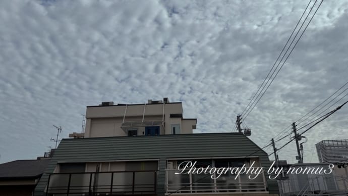 今朝の雲