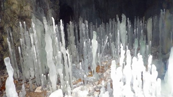 精進川鉱山跡のにょろにょろ(氷筍)探訪