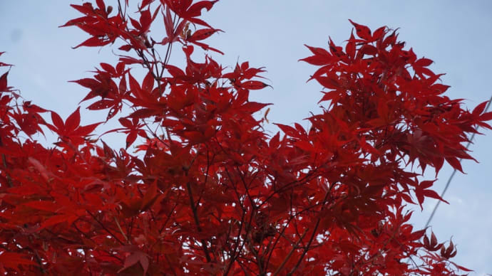 週末も暖かいです♪
