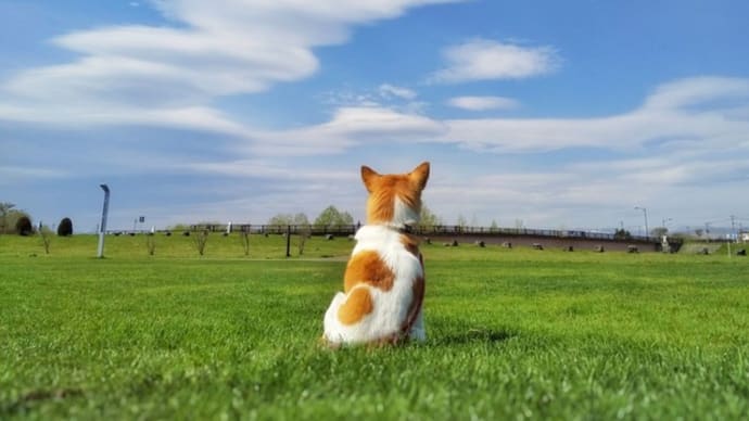 新型コロナも小生の理論以外無理でしょ!!根本に、大きな違い(誤り)があるということを解っていただけませんか?