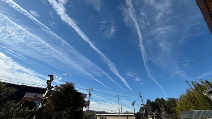 西へ西へと・・・