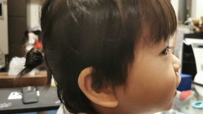 『みらんくん、髪の毛を結びたいんだとさw···』