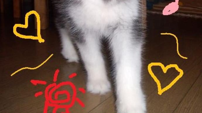 余命を生きること