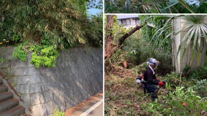 建物周りの草刈り作業中蜂の巣発見!!