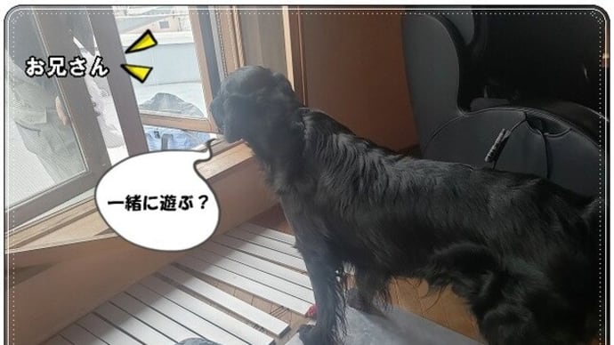 自宅の工事