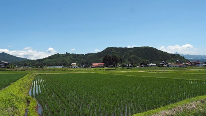 今日の川場村 6月13日