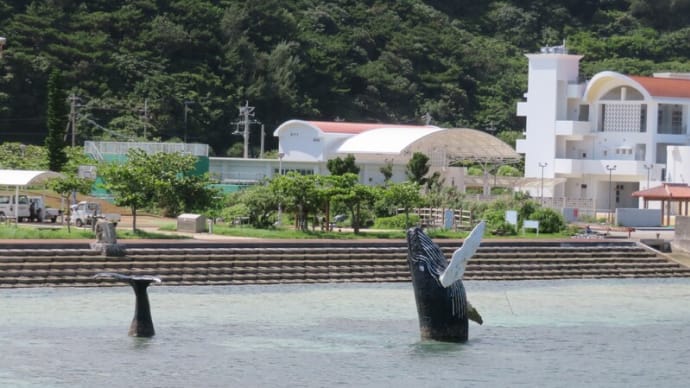 ケラマブルーの中心に位置する島の集落を歩く