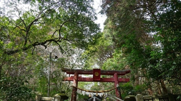 柞原八幡宮のクス