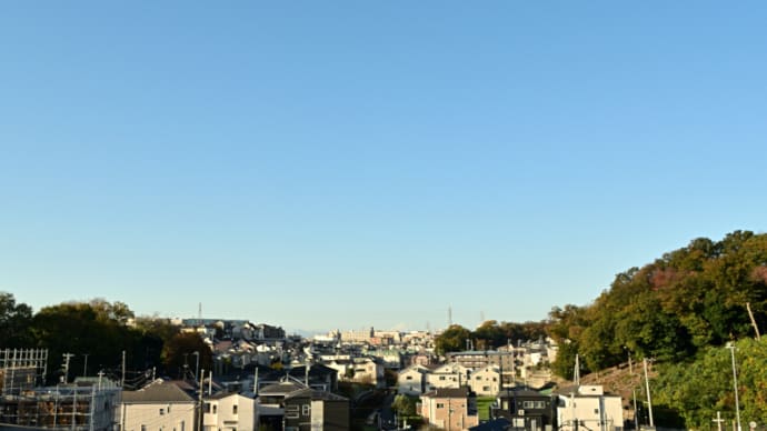 11月21日 寒いと大根食べたくなる。
