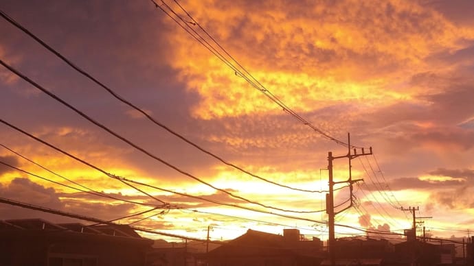 今朝の空