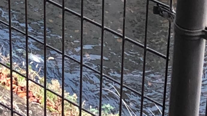 気分転換