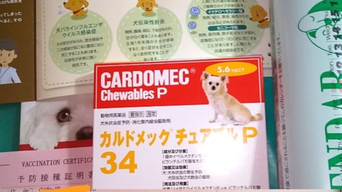 今年のワクチン行ってきました