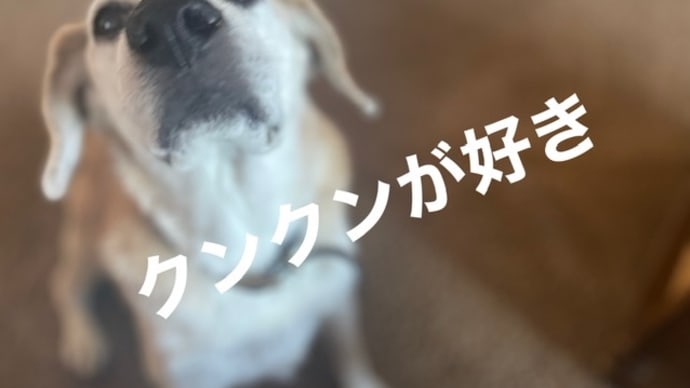 クリスマスの日は