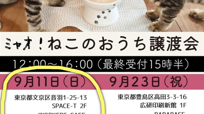 9/11譲渡会byミャオねこ