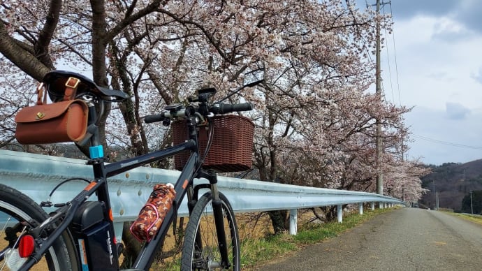 桜の季節だからリハビリ・サイクリング・・・