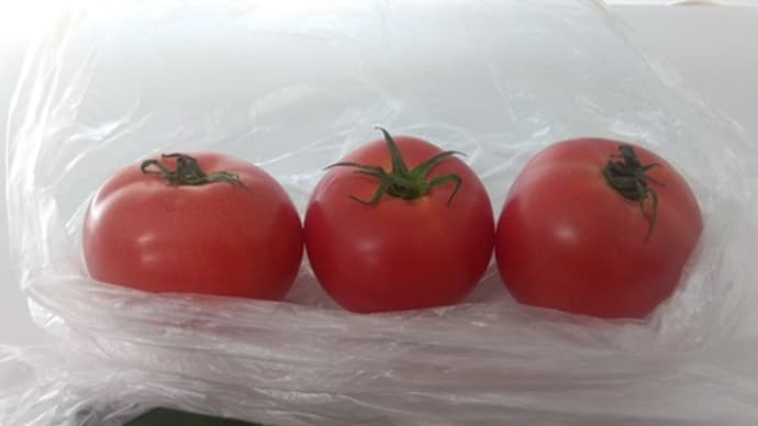 トマトにかけるのは、、、