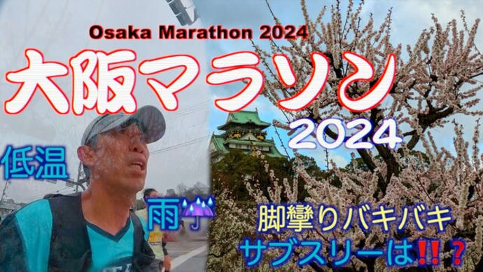 2024 大阪マラソン・・・雨・極寒　2日目（土曜日）コースチェック