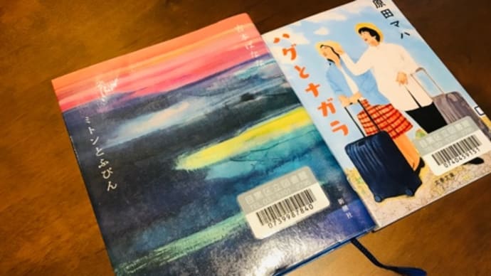 〈読了〉ミトンとふびん