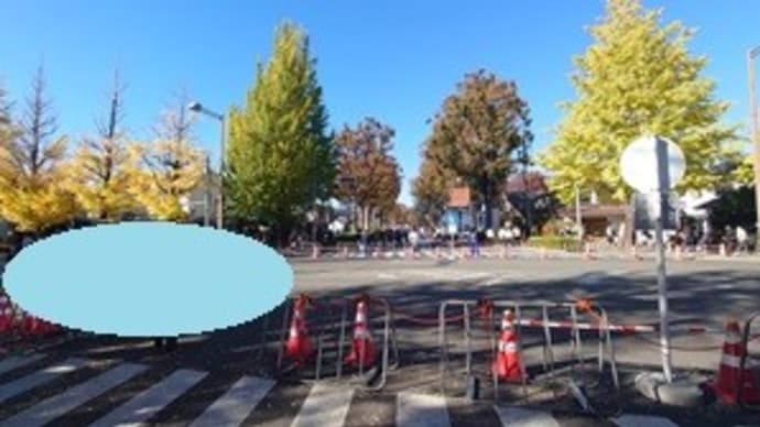いちょう祭り