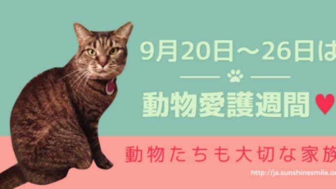 動物愛護週間 共に暮らす社会