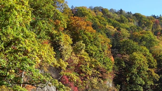 2020 秋の紅葉🍁マウンテンバイク🚴ツアー開催
