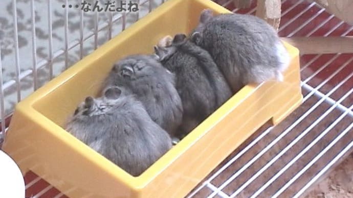 「中いい定員さんが」って?
