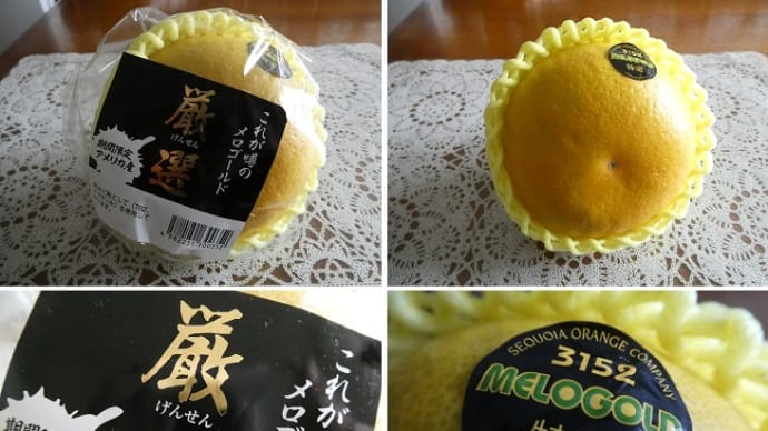 期間限定アメリカ産のメロゴールド!!