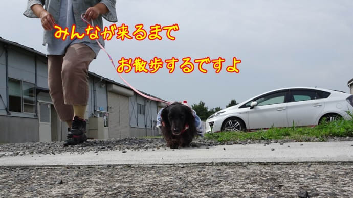 かーちゃん ドッグトレーナー?