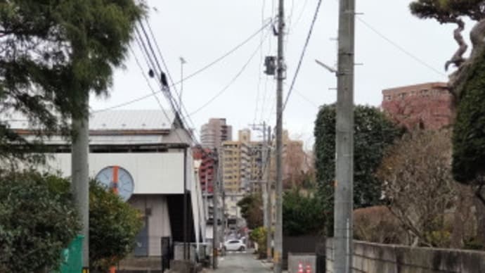生誕隣接地
