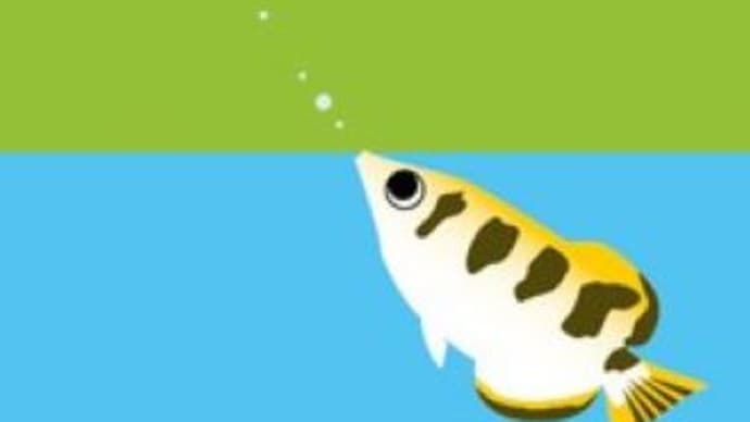 楽を覚えたテッポウウオ