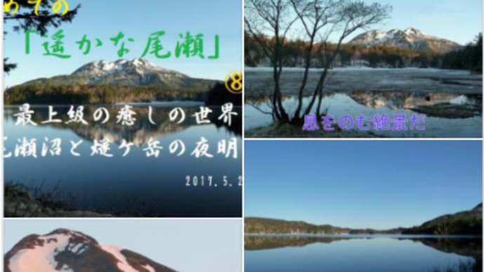 今頃は、真っ白なんだろうな ⛄・・もう春を待ち望む『遥かな尾瀬』🏔