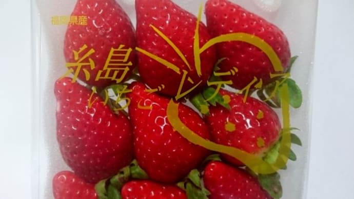 糸島のいちご　レディア
