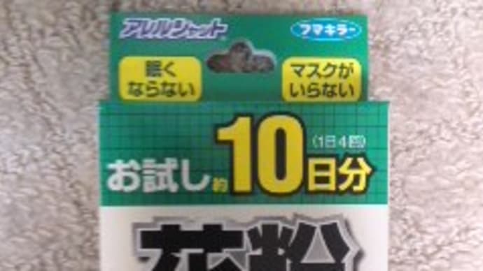 俺は戦うよ