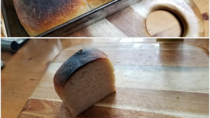 こんな時に(;ﾟ∇ﾟ)