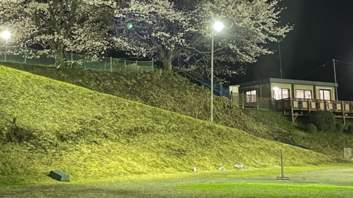 夜桜