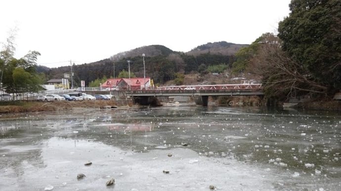 驚きました　巾着田付近の高麗川凍る！