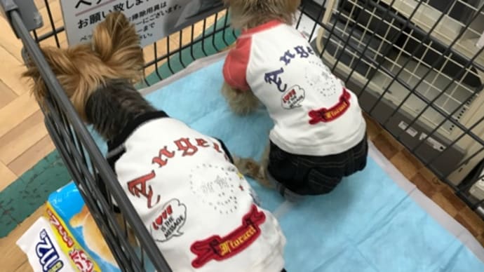 バレンタインデー 久々の外出