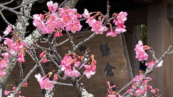 鎌倉三社詣