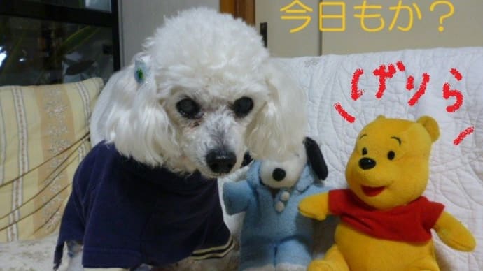 朝から気持ちよく晴れるも…また大気の状態が不安定…ノ( ̄0 ̄;)\