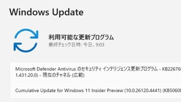 Windows 11 Beta チャンネルに 累積更新 (KB5060816) が配信されてきました。