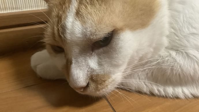 手術前検査の結果を聞いた