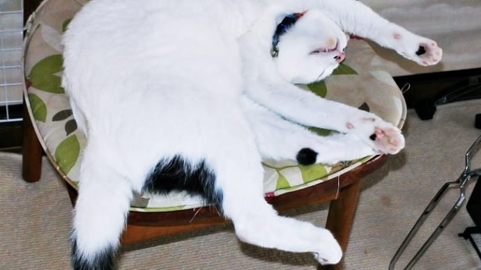 お手上げ状態