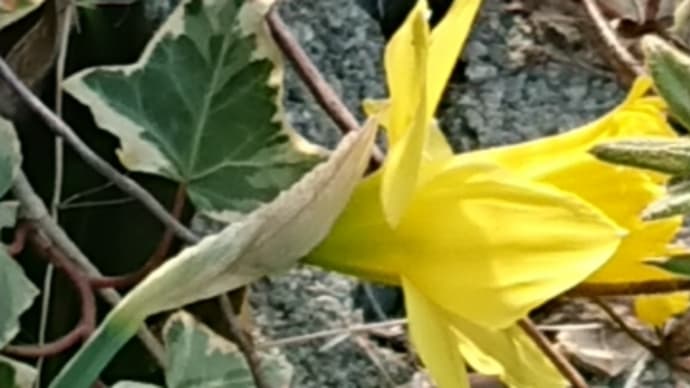 登校渋り、先生が厳しい