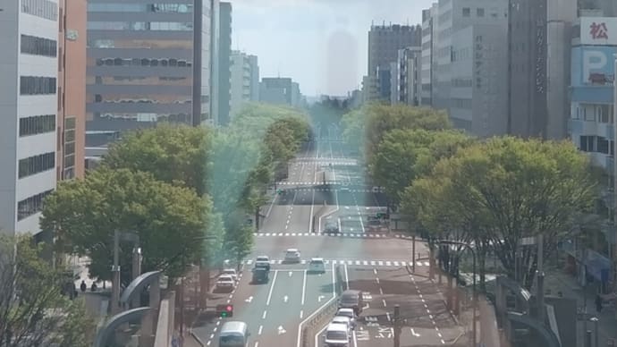 グッドモーニング仙台。◕‿◕。